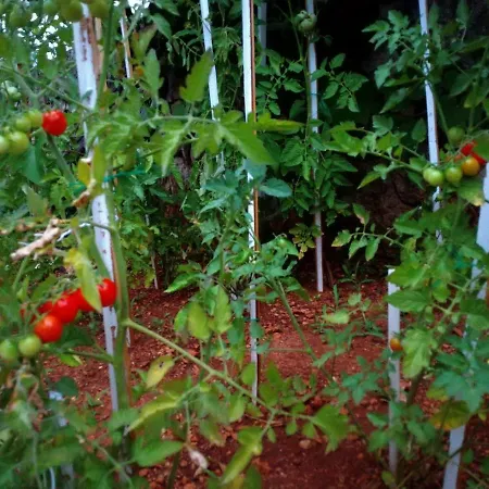 Lejlighed Sun House Brzac