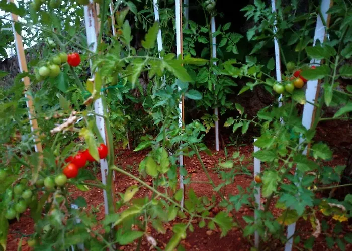 Διαμέρισμα Sun House Brzac